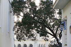 Cuba Havana Church