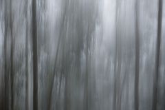 2024-05-13-041-icm-traeer