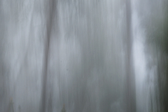 2024-05-13-042-icm-traeer