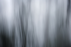 2024-05-13-043-icm-traeer