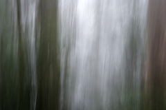 2024-05-13-046-icm-traeer