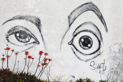 Milfontes Grafitti Art 01