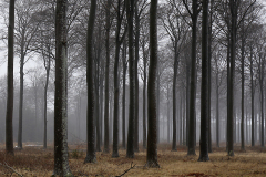 Nordfyn 3