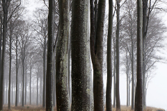 Nordfyn 4